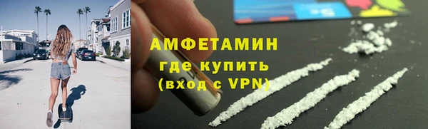 индика Кинешма